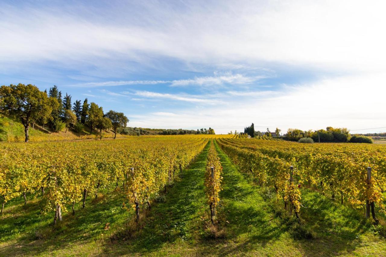 Agriturismo Ai Prati Lazise Exterior foto